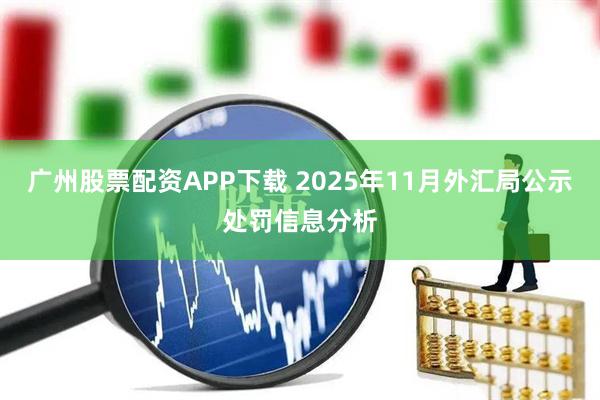 广州股票配资APP下载 2025年11月外汇局公示处罚信息分析