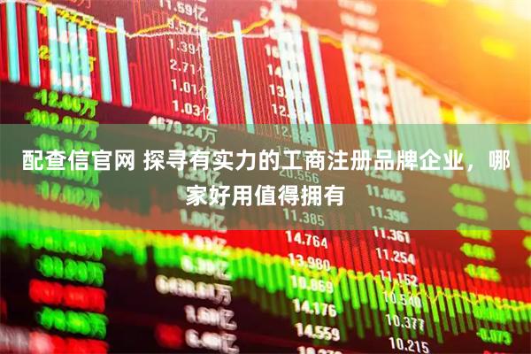 配查信官网 探寻有实力的工商注册品牌企业，哪家好用值得拥有
