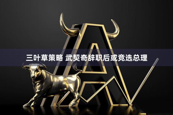 三叶草策略 武契奇辞职后或竞选总理